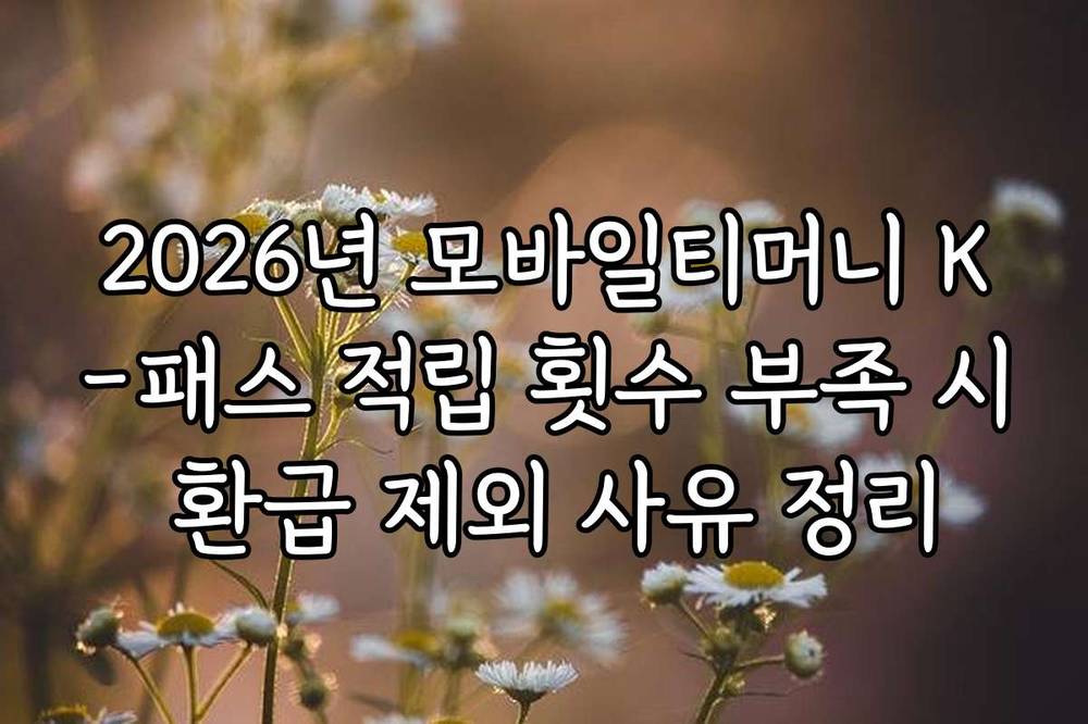 2026년 모바일티머니 K-패스 적립 횟수 부족 시 환급 제외 사유 정리 2026년 모바일티머니 K-패스 적립 횟수 부족 시 환급 제외 사유 정리