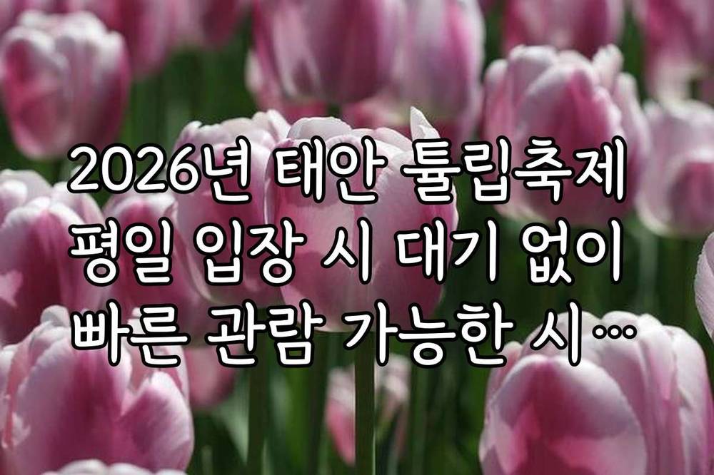 2026년 태안 튤립축제 평일 입장 시 대기 없이 빠른 관람 가능한 시간대