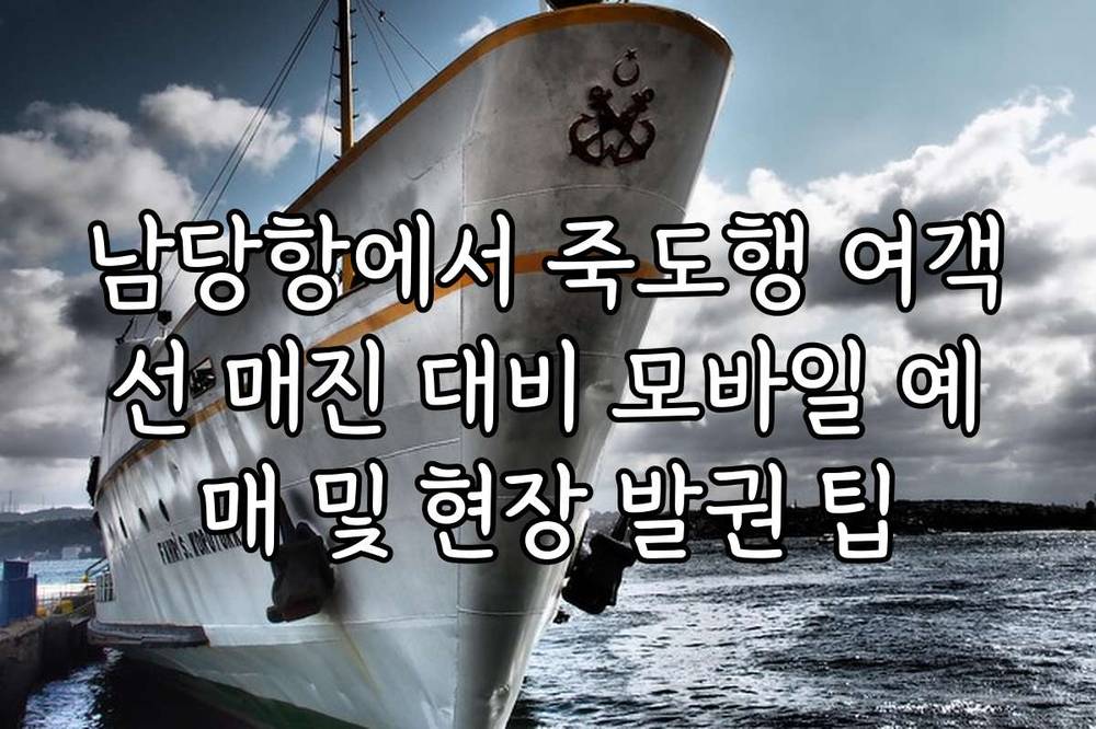 남당항에서 죽도행 여객선 매진 대비 모바일 예매 및 현장 발권 팁