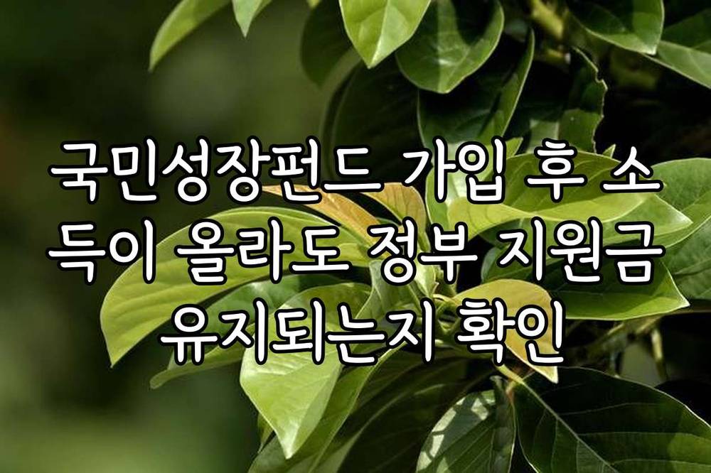 국민성장펀드 가입 후 소득이 올라도 정부 지원금 유지되는지 확인