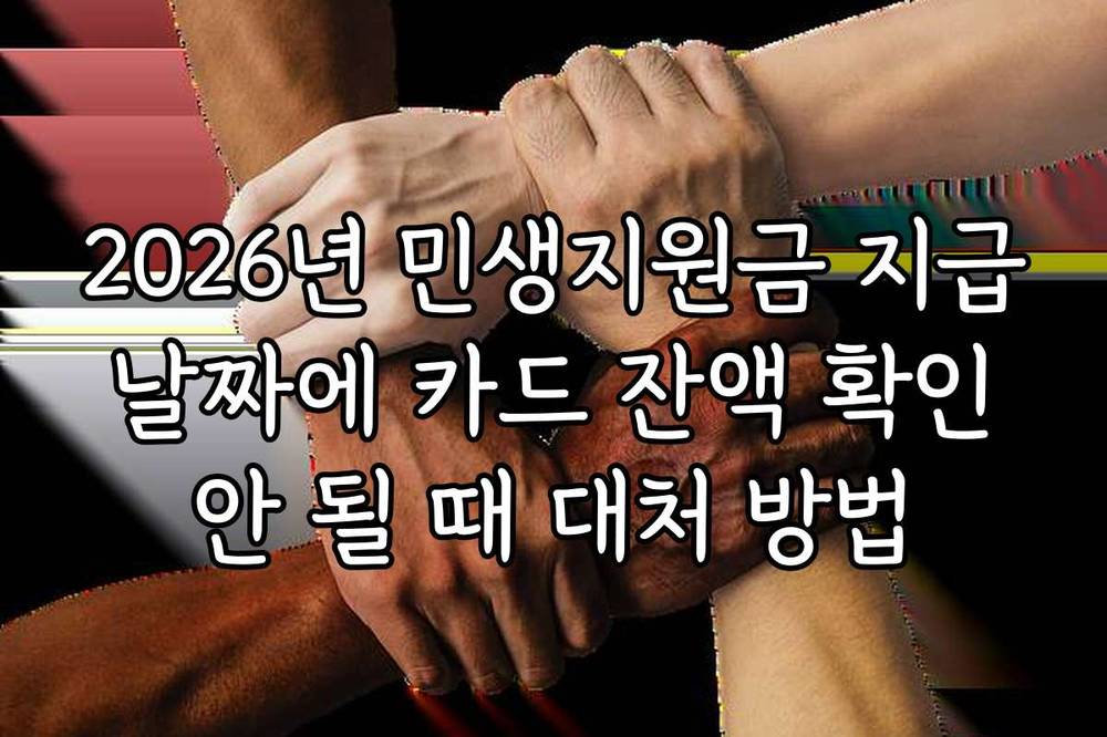 2026년 민생지원금 지급 날짜에 카드 잔액 확인 안 될 때 대처 방법
