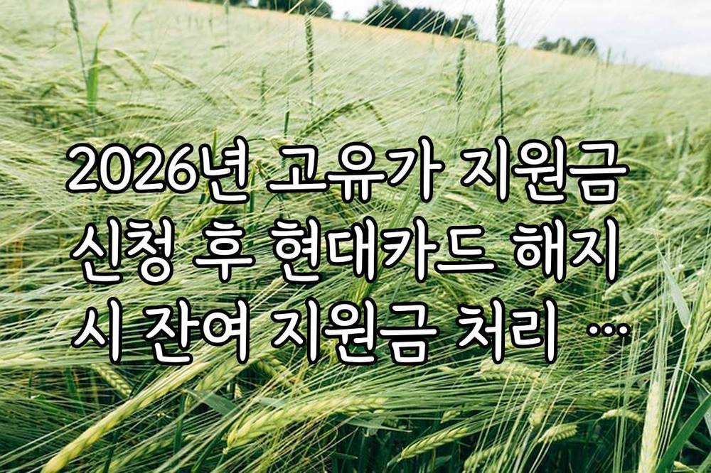 2026년 고유가 지원금 신청 후 현대카드 해지 시 잔여 지원금 처리 안내