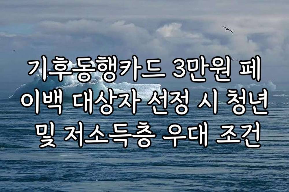 기후동행카드 3만원 페이백 대상자 선정 시 청년 및 저소득층 우대 조건