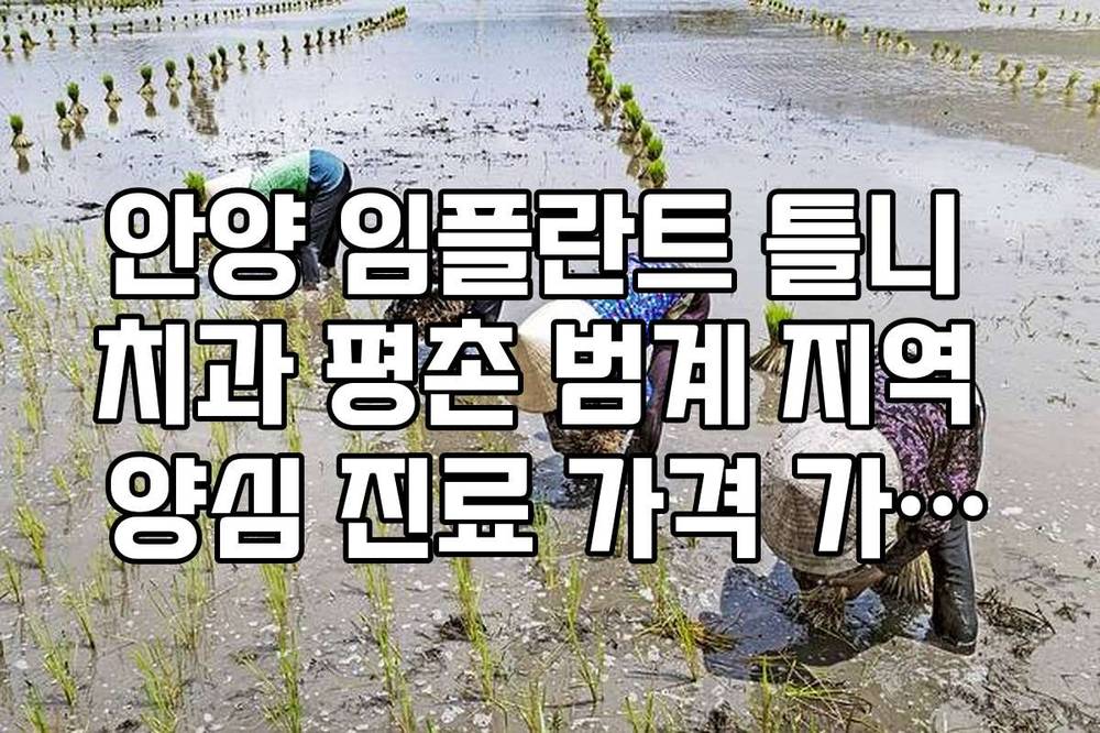 안양 임플란트 틀니 치과 평촌 범계 지역 양심 진료 가격 가이드