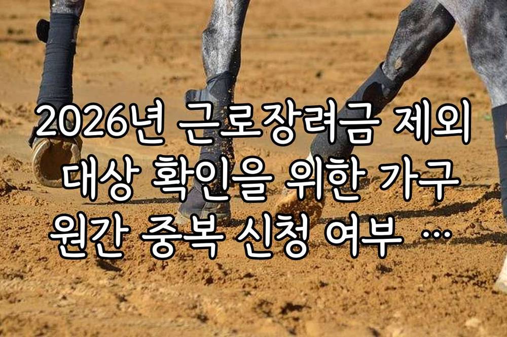 2026년 근로장려금 제외 대상 확인을 위한 가구원간 중복 신청 여부 체크