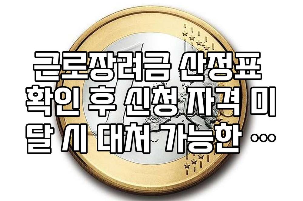 근로장려금 산정표 확인 후 신청 자격 미달 시 대처 가능한 예외 규정