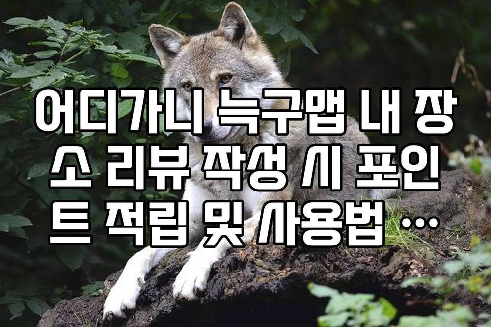 어디가니 늑구맵 내 장소 리뷰 작성 시 포인트 적립 및 사용법 정리