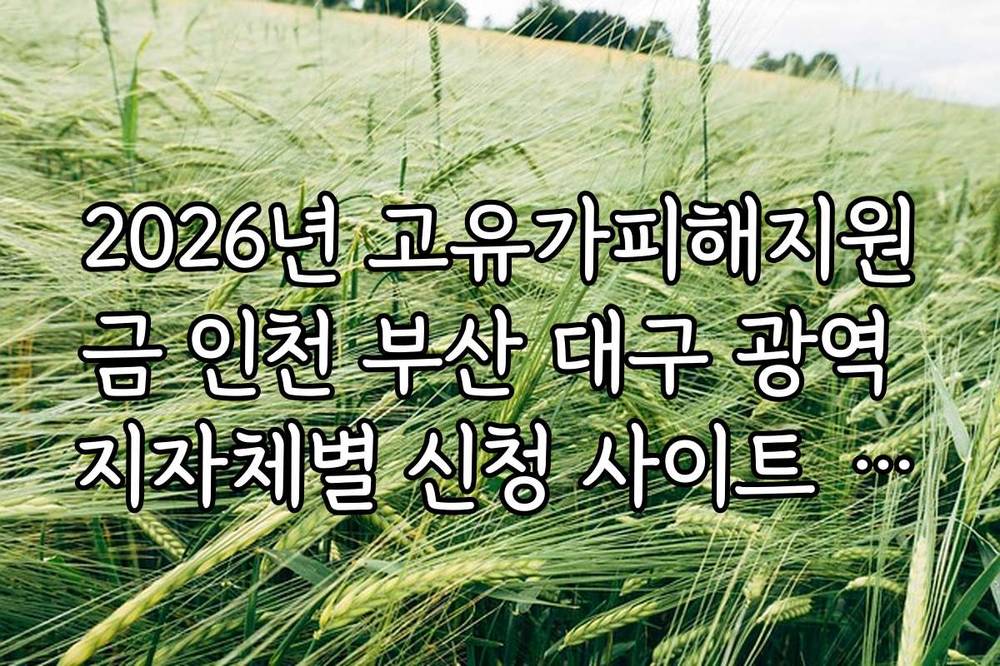2026년 고유가피해지원금 인천 부산 대구 광역 지자체별 신청 사이트 주소