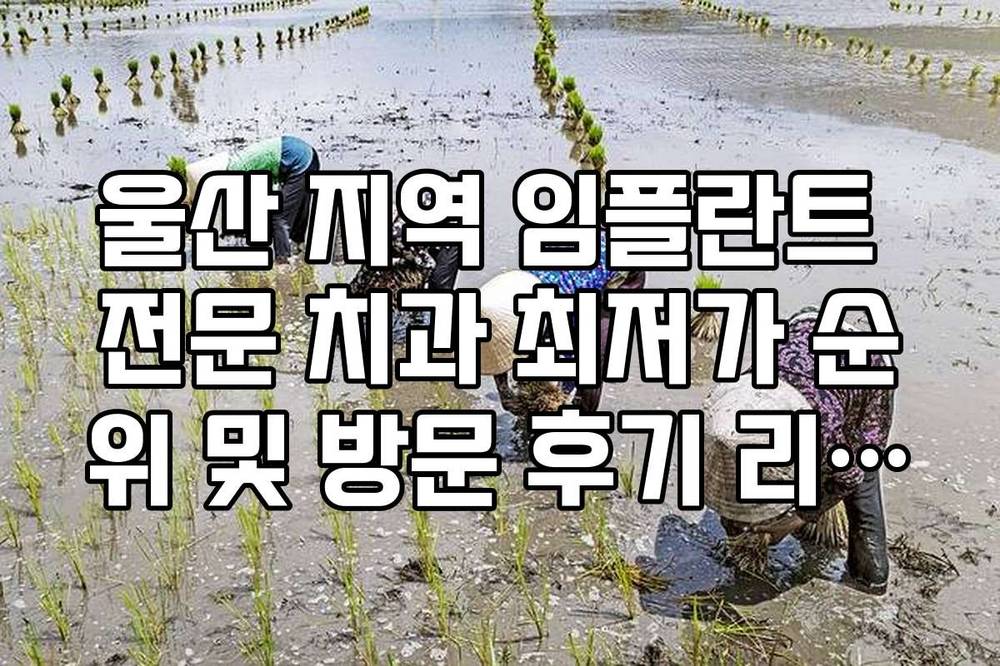 울산 지역 임플란트 전문 치과 최저가 순위 및 방문 후기 리스트