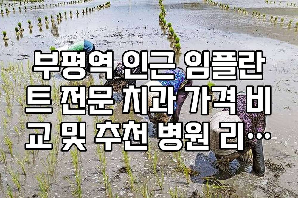 부평역 인근 임플란트 전문 치과 가격 비교 및 추천 병원 리스트