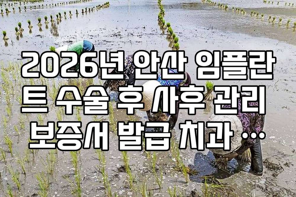 2026년 안산 임플란트 수술 후 사후 관리 보증서 발급 치과 리스트