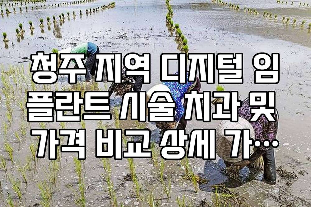 청주 지역 디지털 임플란트 시술 치과 및 가격 비교 상세 가이드