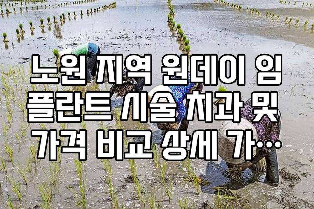 노원 지역 원데이 임플란트 시술 치과 및 가격 비교 상세 가이드