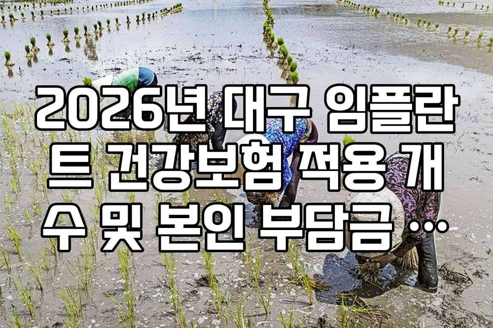 2026년 대구 임플란트 건강보험 적용 개수 및 본인 부담금 팩트 체크