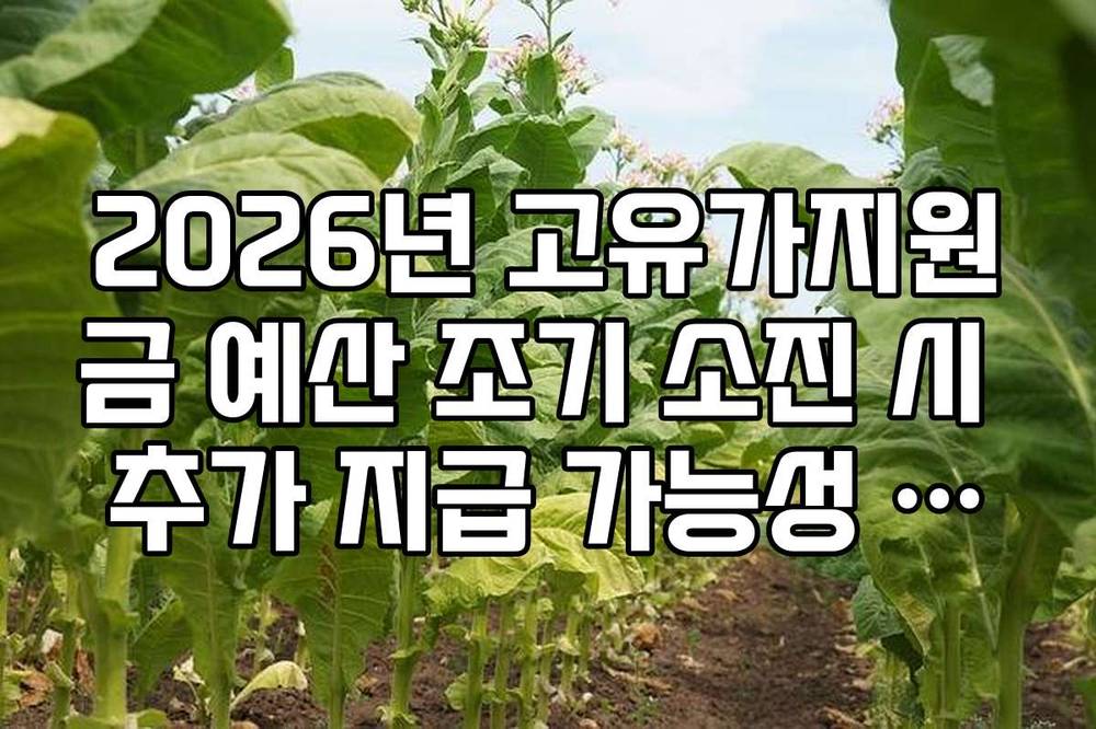 2026년 고유가지원금 예산 조기 소진 시 추가 지급 가능성 분석