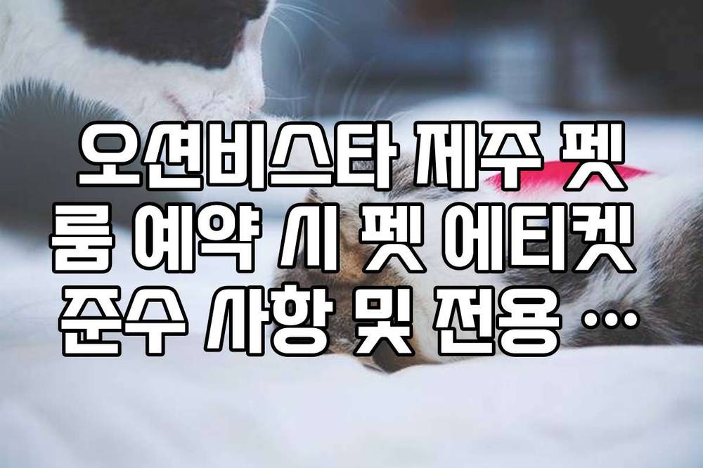 오션비스타 제주 펫룸 예약 시 펫 에티켓 준수 사항 및 전용 케이지 규정