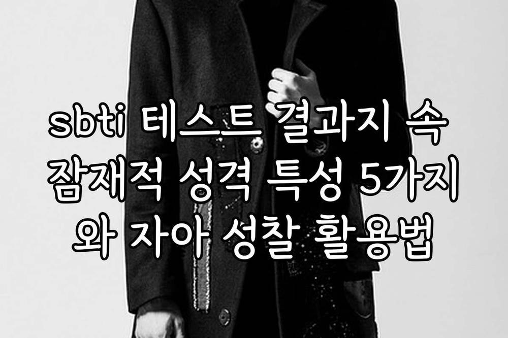 sbti 테스트 결과지 속 잠재적 성격 특성 5가지와 자아 성찰 활용법