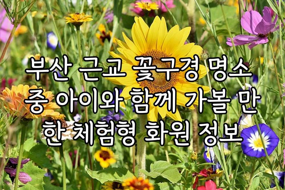 부산 근교 꽃구경 명소 중 아이와 함께 가볼 만한 체험형 화원 정보