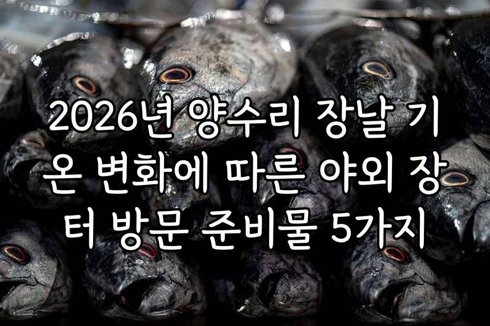 2026년 양수리 장날 기온 변화에 따른 야외 장터 방문 준비물 5가지