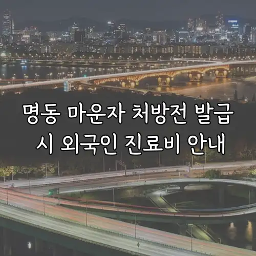 명동 마운자 처방전 발급 시 외국인 진료비 안내