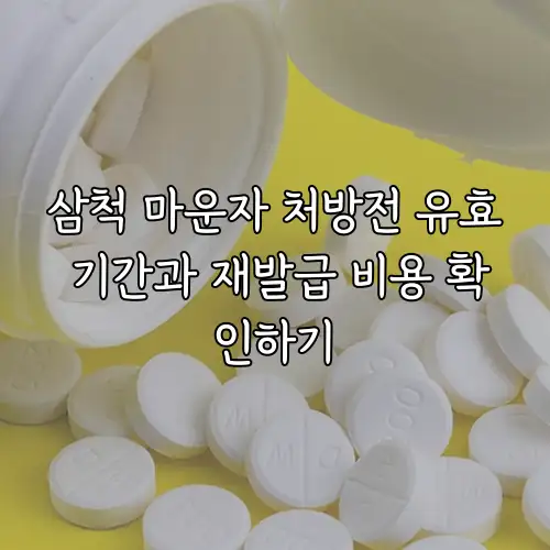 삼척 마운자 처방전 유효 기간과 재발급 비용 확인하기