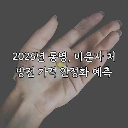 2026년 통영, 마운자 처방전 가격 안정화 예측