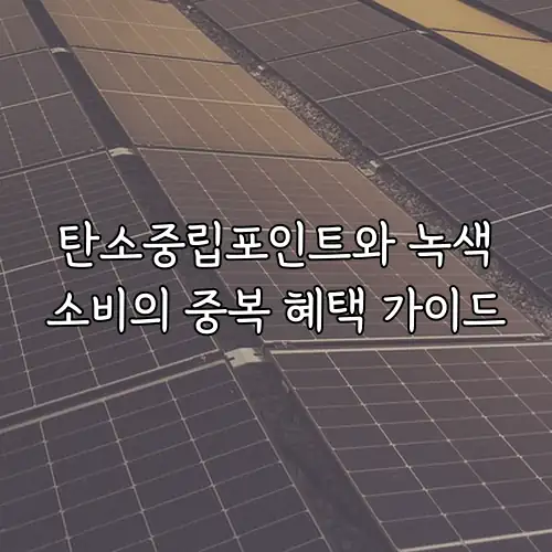 탄소중립포인트와 녹색소비의 중복 혜택 가이드