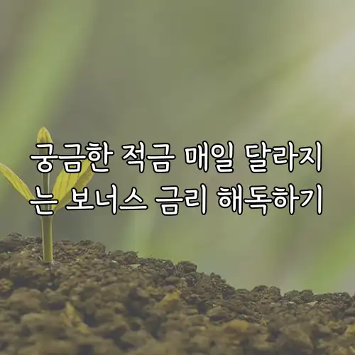 궁금한 적금 매일 달라지는 보너스 금리 해독하기