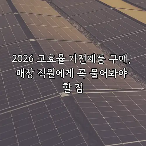 2026 고효율 가전제품 구매, 매장 직원에게 꼭 물어봐야 할 점