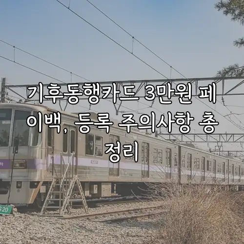 기후동행카드 3만원 페이백, 등록 주의사항 총정리
