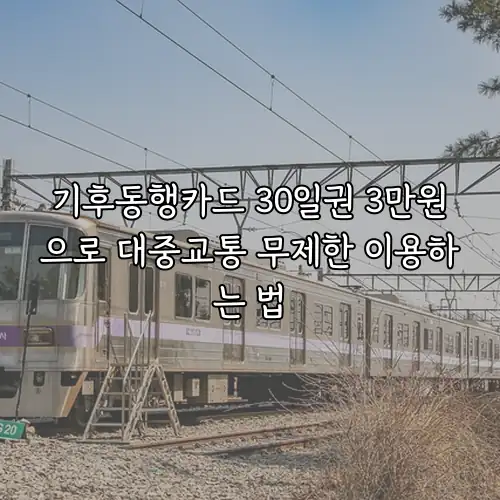기후동행카드 30일권 3만원으로 대중교통 무제한 이용하는 법