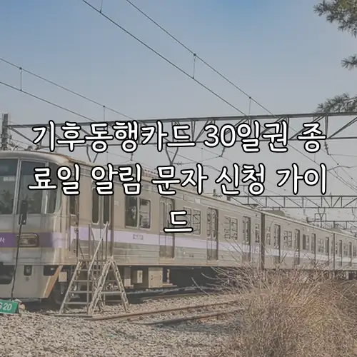 기후동행카드 30일권 종료일 알림 문자 신청 가이드