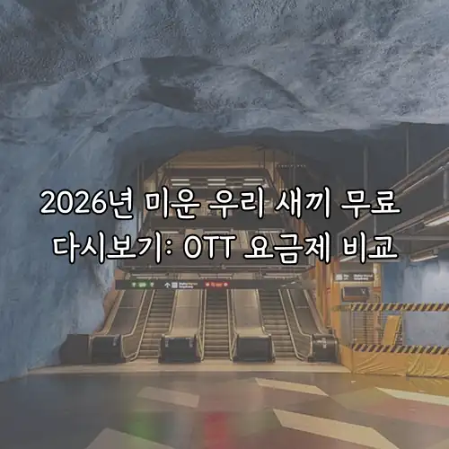 2026년 미운 우리 새끼 무료 다시보기: OTT 요금제 비교
