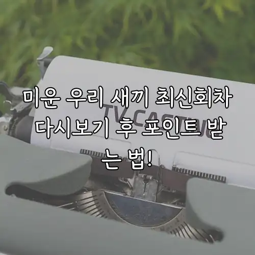 미운 우리 새끼 최신회차 다시보기 후 포인트 받는 법!