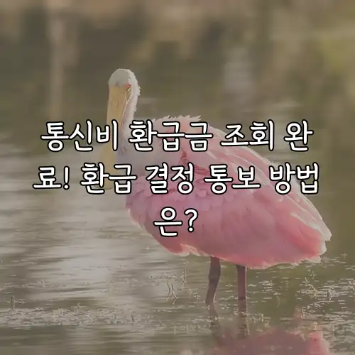 통신비 환급금 조회 완료! 환급 결정 통보 방법은?