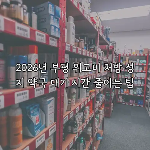 2026년 부평 위고비 처방 성지 약국 대기 시간 줄이는 팁
