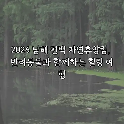 2026 남해 편백 자연휴양림, 반려동물과 함께하는 힐링 여행