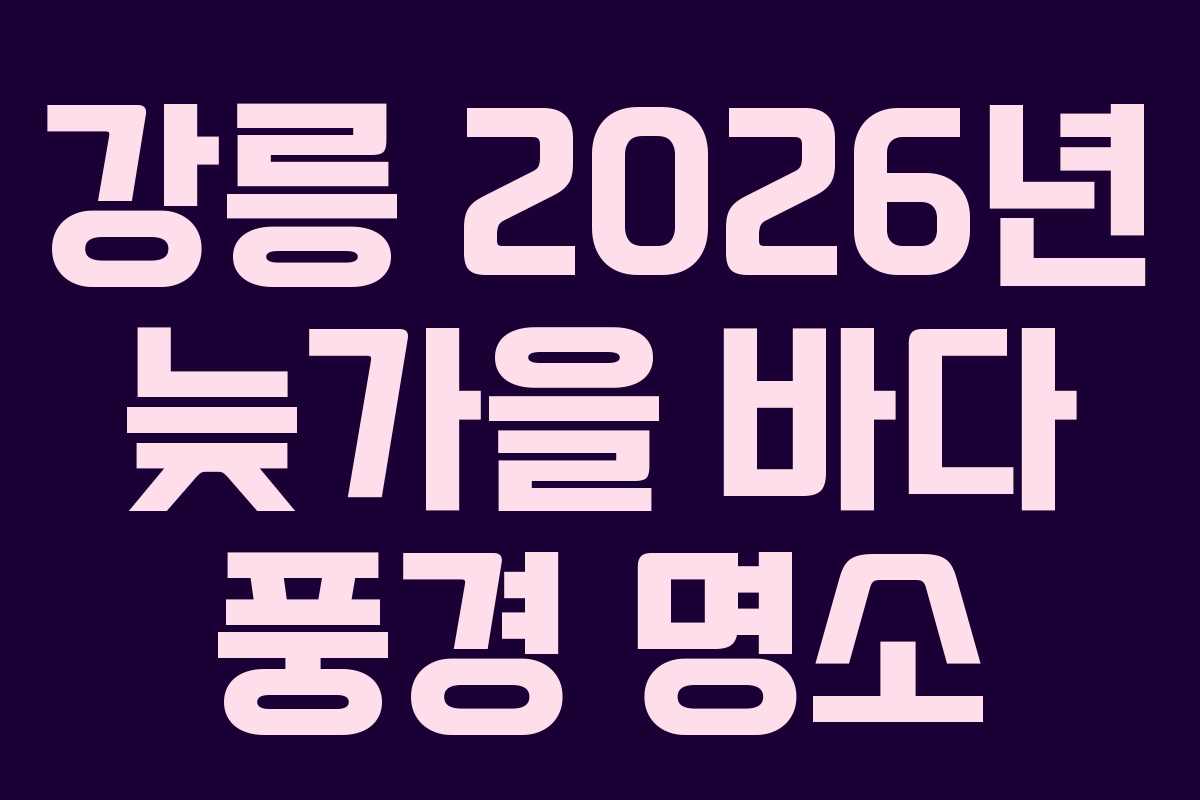 강릉 2026년 늦가을 바다 풍경 명소