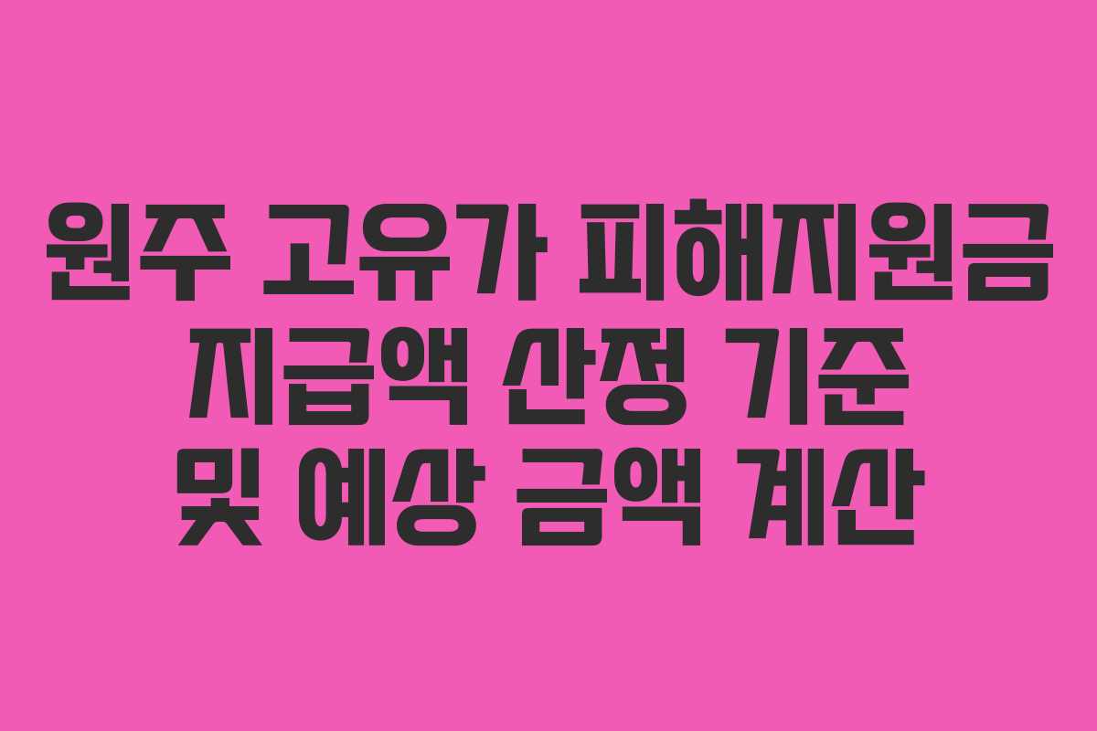 원주 고유가 피해지원금 지급액 산정 기준 및 예상 금액 계산