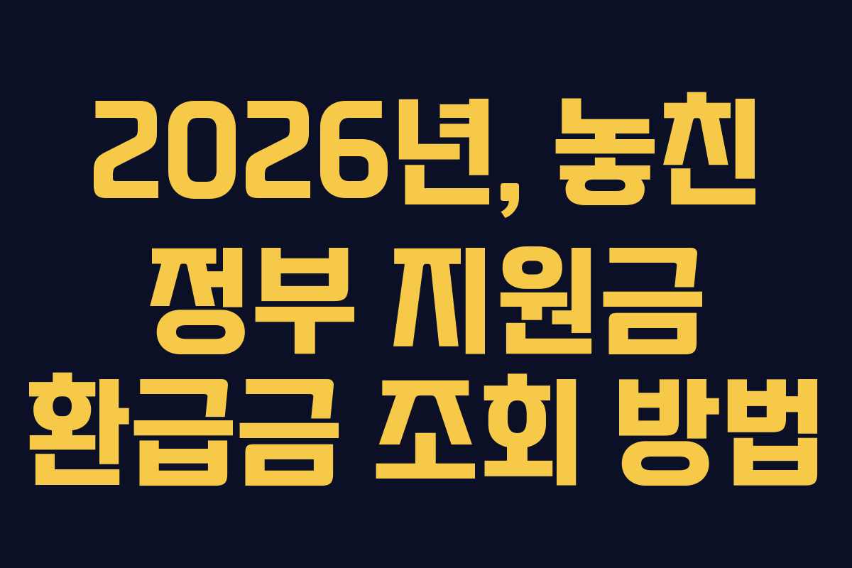 2026년, 놓친 정부 지원금 환급금 조회 방법