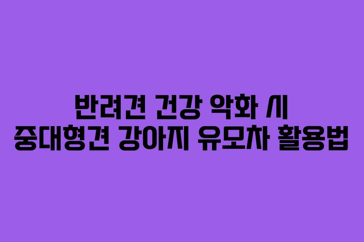 반려견 건강 악화 시 중대형견 강아지 유모차 활용법