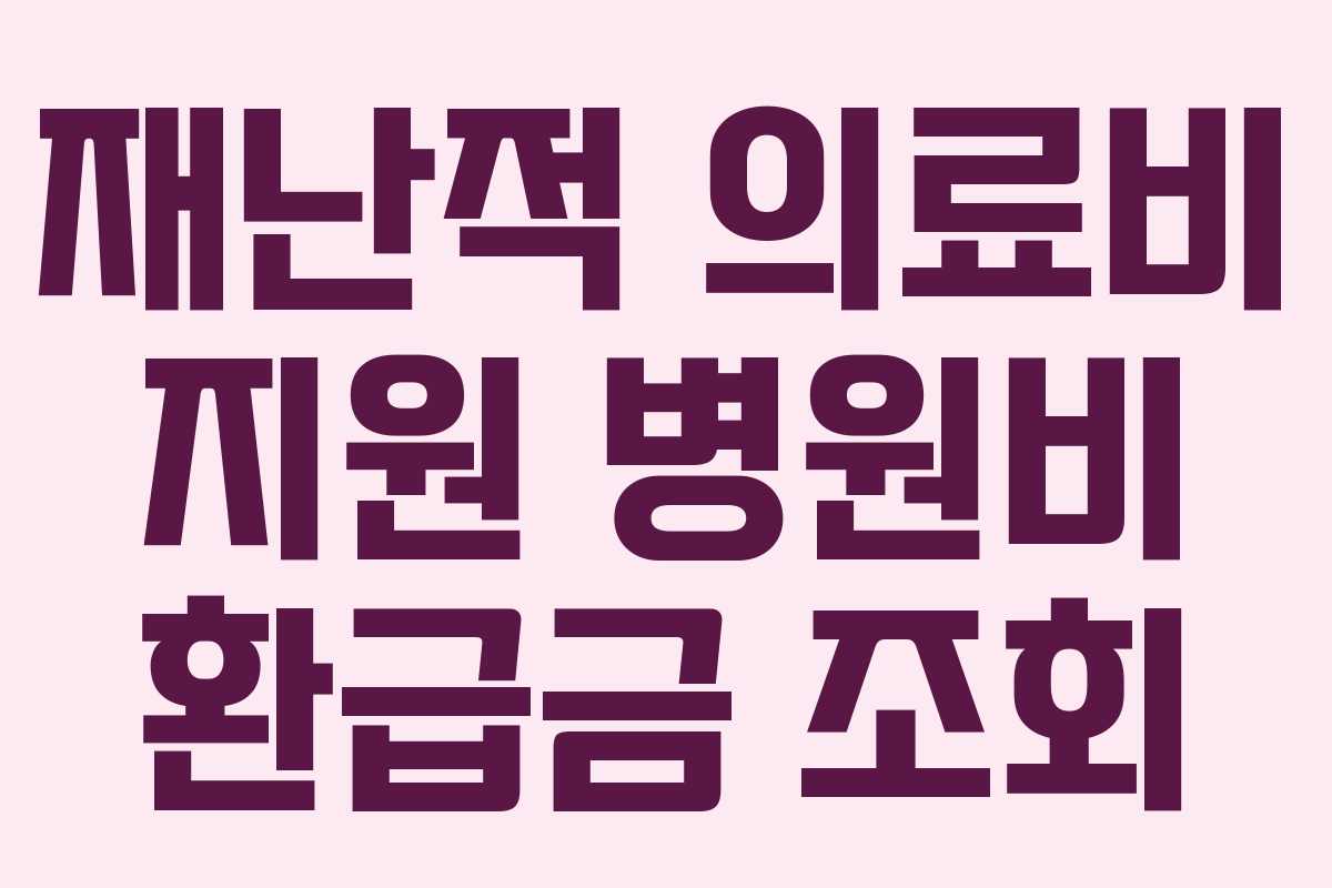 재난적 의료비 지원 병원비 환급금 조회