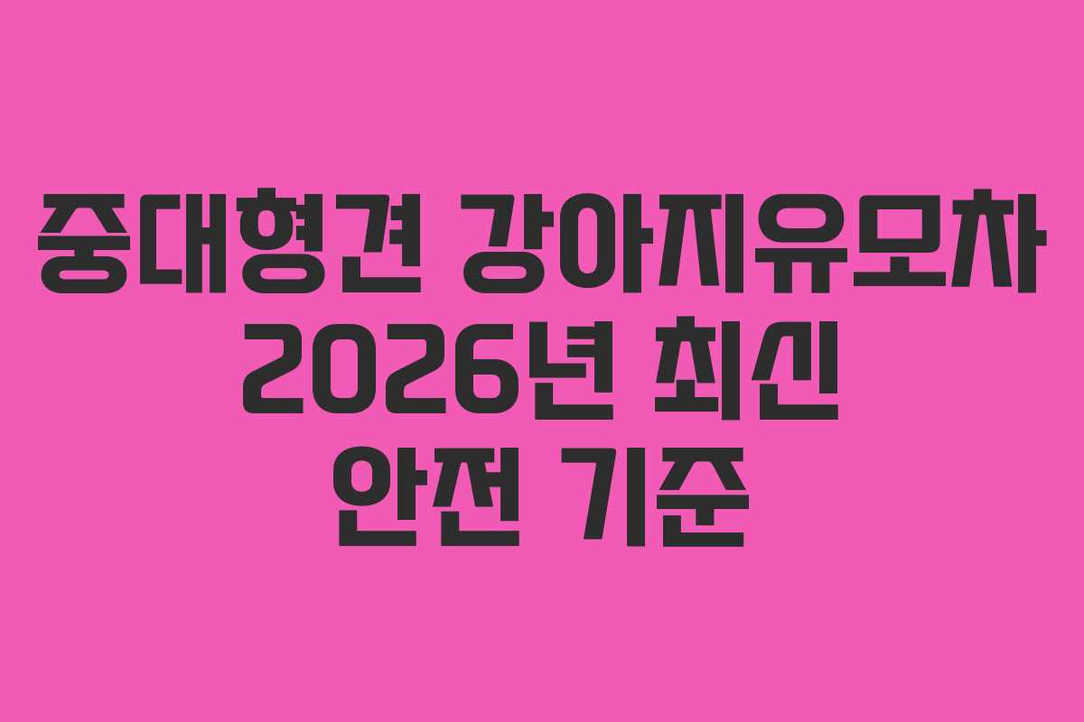중대형견 강아지유모차 2026년 최신 안전 기준