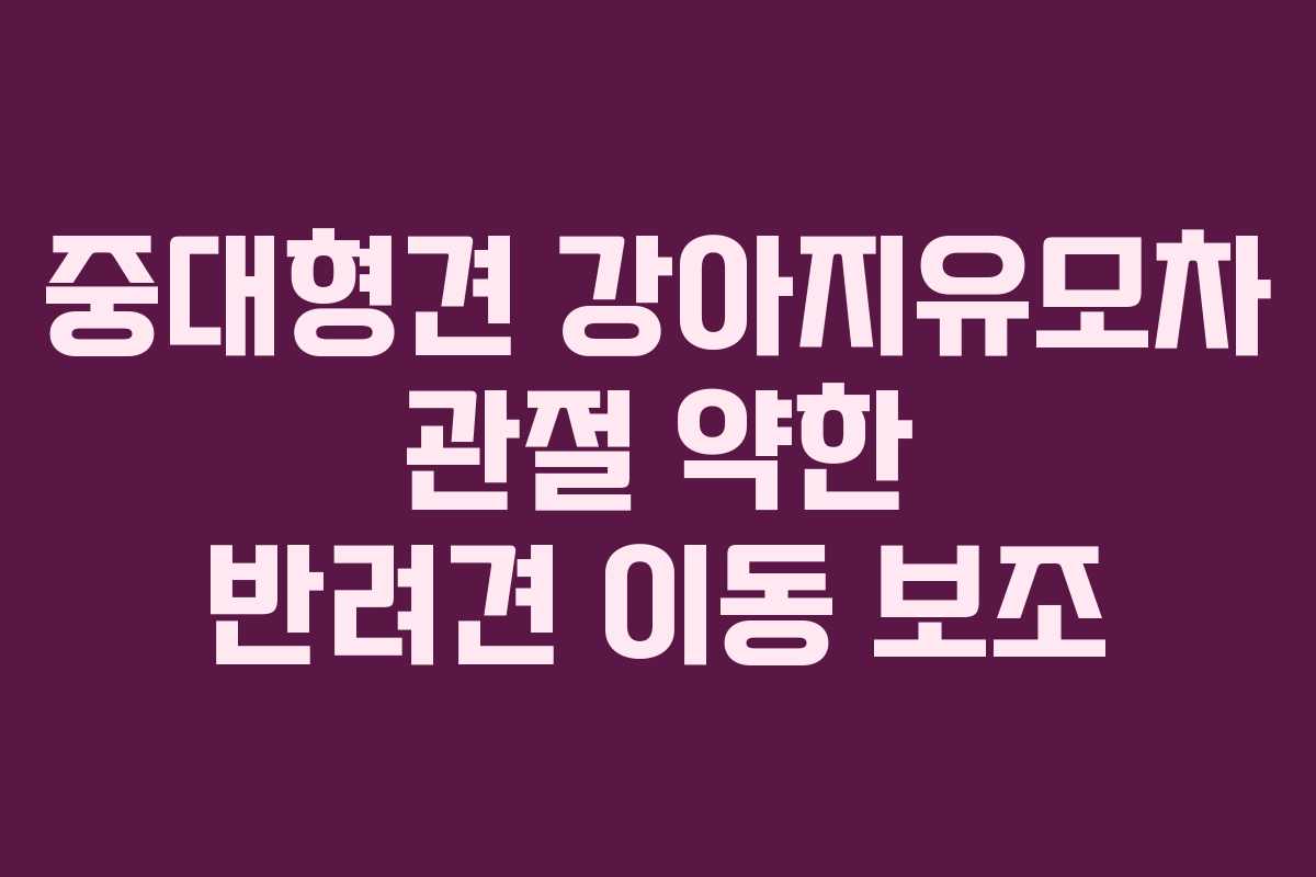 중대형견 강아지유모차 관절 약한 반려견 이동 보조