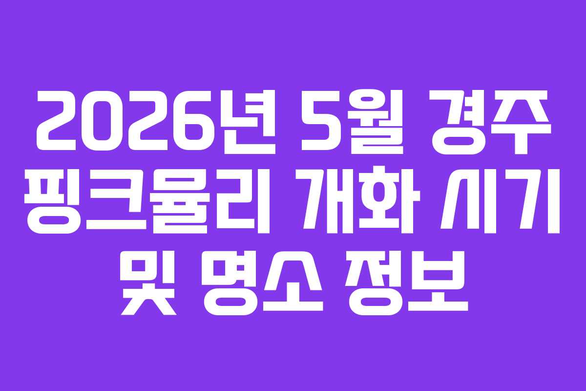 2026년 5월 경주 핑크뮬리 개화 시기 및 명소 정보