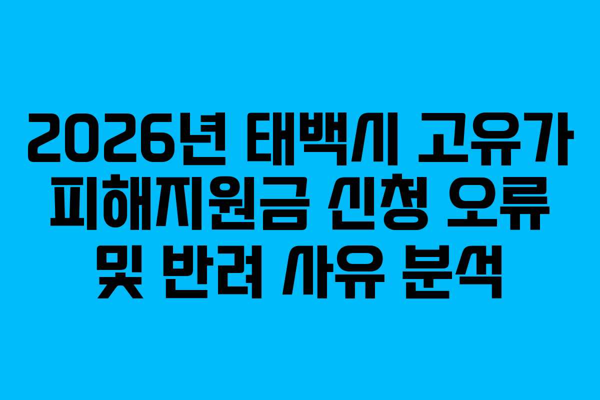 2026년 태백시 고유가 피해지원금 신청 오류 및 반려 사유 분석