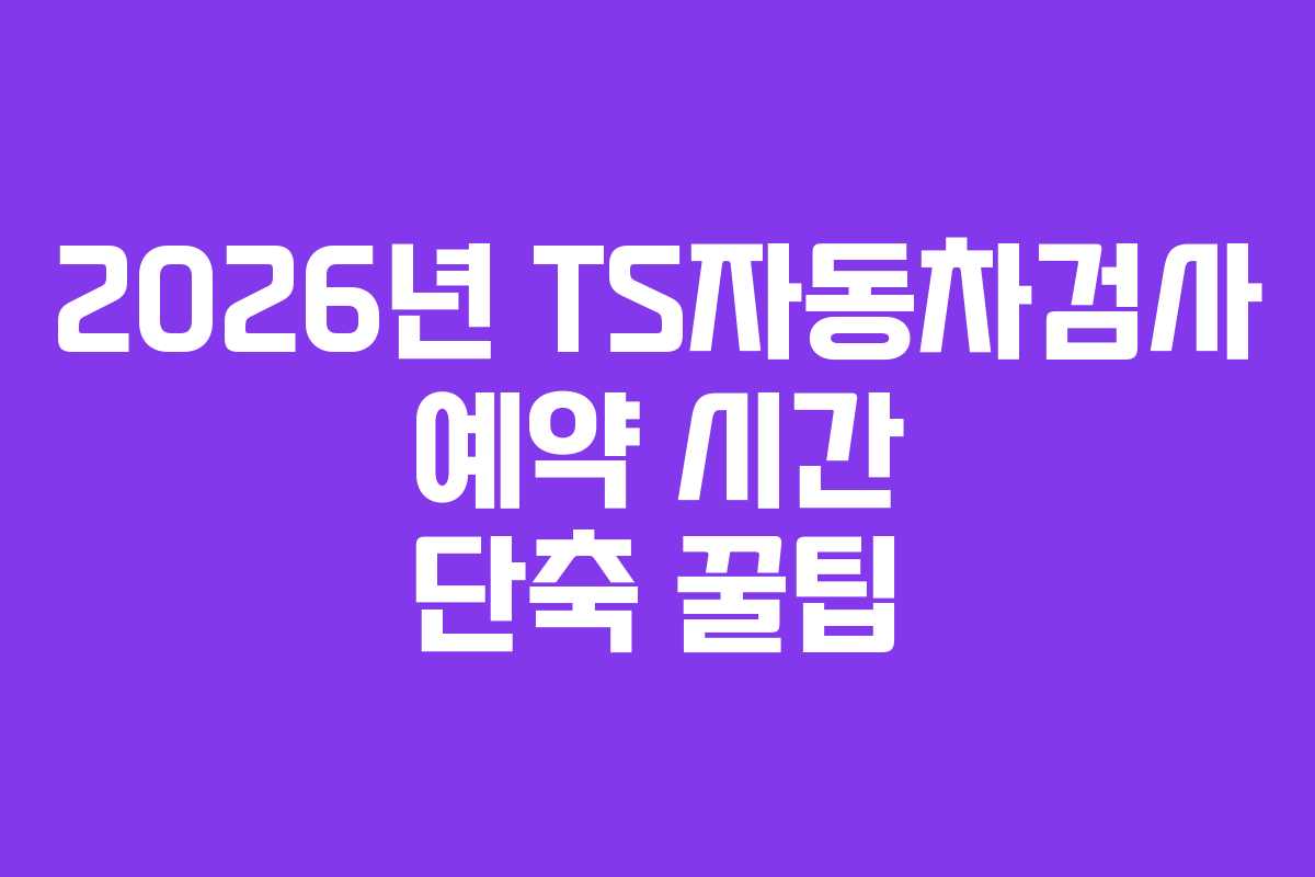 2026년 TS자동차검사 예약 시간 단축 꿀팁