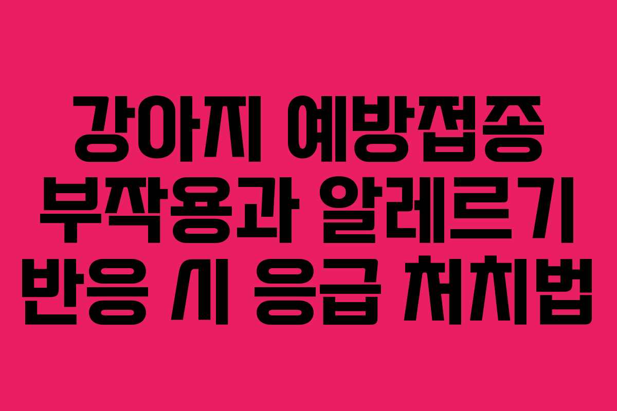 강아지 예방접종 부작용과 알레르기 반응 시 응급 처치법