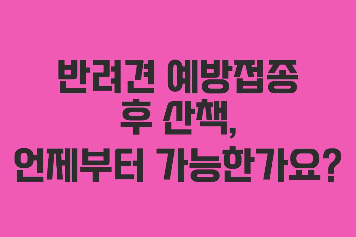 반려견 예방접종 후 산책, 언제부터 가능한가요?