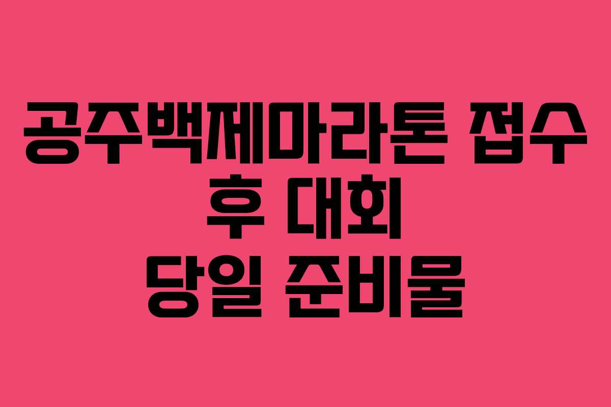 공주백제마라톤 접수 후 대회 당일 준비물